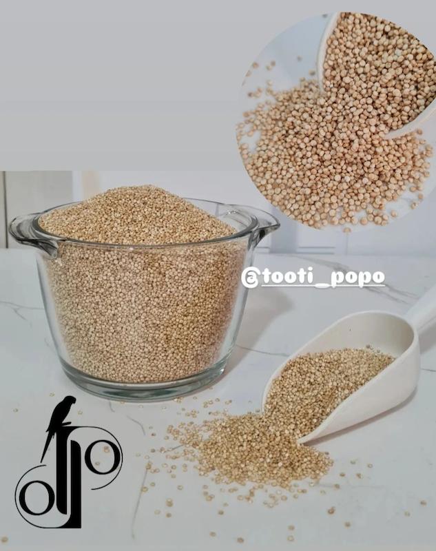 دانه کینوا 