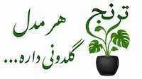 گلدان ترنج