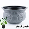 گلدان پلیمری مدل بونسایی سلطنتی