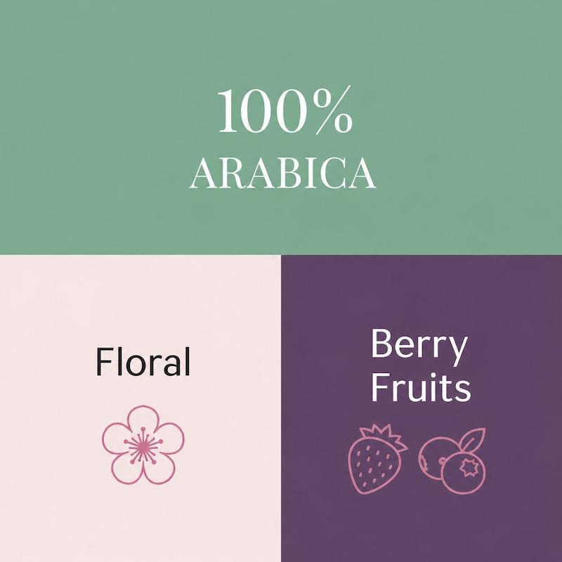 قهوه اتیوپی یرگاشف تورینو تک خاستگاه یک کیلویی مناسب V60 و کمکس