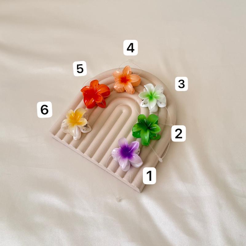 پلومریا کوچیک