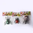 حشره بزرگ