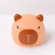 چراغ خواب کاپی بارا