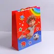 بگ طرح ورزشی فانتزی