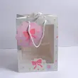 بگ جلو طلق دار پاپیون