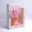 بگ جلو طلق دار پاپیون