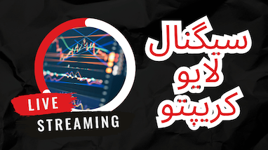 معرفی ربات تسلا | ترید آسان برای همه سطوح از مبتدی تا حرفه‌ای