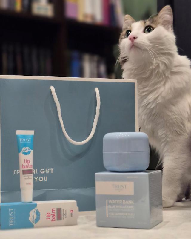 بسته کادویی شماره دو