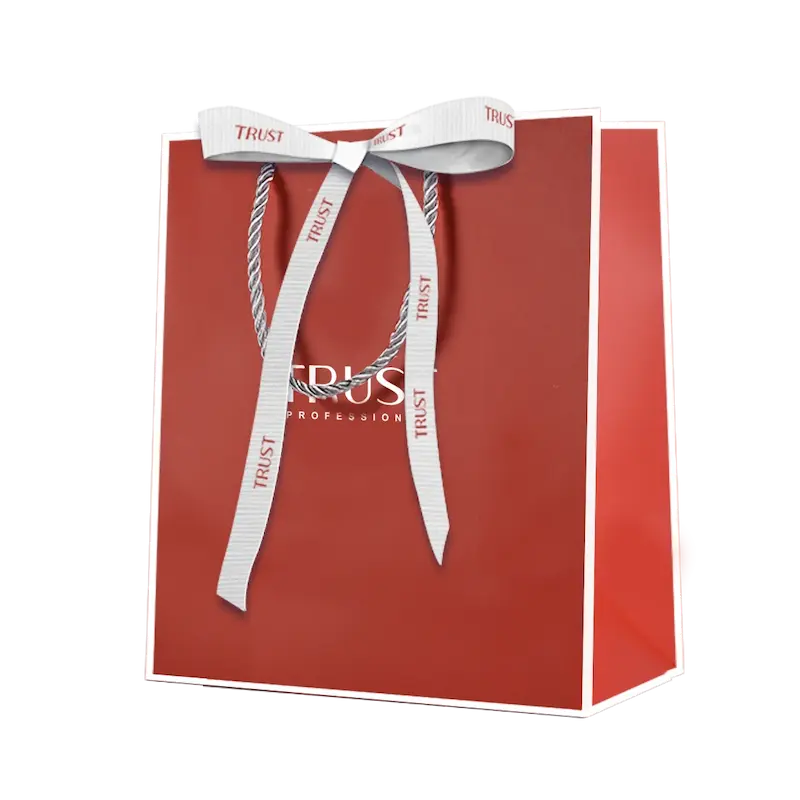 ساک‌دستی طرح الیزه