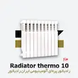خرید و قیمت رادیاتور 10 پره ترمو ایران رادیاتور Thermo 500