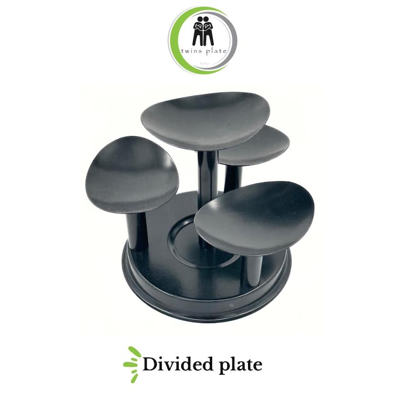 اردو ۴خانه فلزی