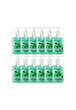 کارتن 12 عددی مایع دستشویی صدفی فژ (رایحه باغ سبز) 