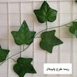 ریسه برگ‌پاپیتال 