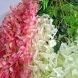 ریسه گل ویستریا🌸