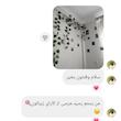 ریسه برگ‌پتوس 