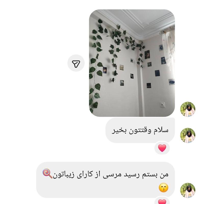 ریسه برگ‌پتوس 