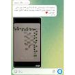 ریسه برگ‌پتوس 