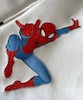 هودی با طرح اسپایدرمن