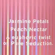 بادی اسپلش ویکتوریا سیکرت Pure Seduction Bliss