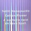 بادی اسپلش ویکتوریا سیکرت Love Spell Bliss