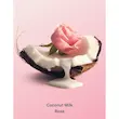 بادی اسپلش ویکتوریا سکرت Coconut Milk Rose مو و بدن