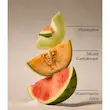 ژل دست بث اند بادی Sparkling Watermelon