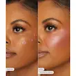 رژگونه رنگ بری پیگمنت بالا