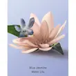 بادی اسپلش ویکتوریا سیکرت Blue Jasmine مناسب مو و بدن