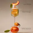 اسپری ضد عفونی کننده دست بث اند بادی Peach Bellini