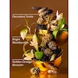 کره بدن بث اند بادی Touch of Gold تاچ اف گلد