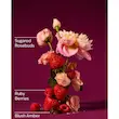 کره بدن بث اند بادی Covered In Roses کاورد این روزز