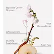 بادی اسپلش بث اند بادی Japanese Cherry Blossom شکوفه گیلاس ژاپنی