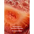 بادی اسپلش ویکتوریا سکرت Strawberries & Champagne