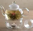 پایه وارمر پیرکس 