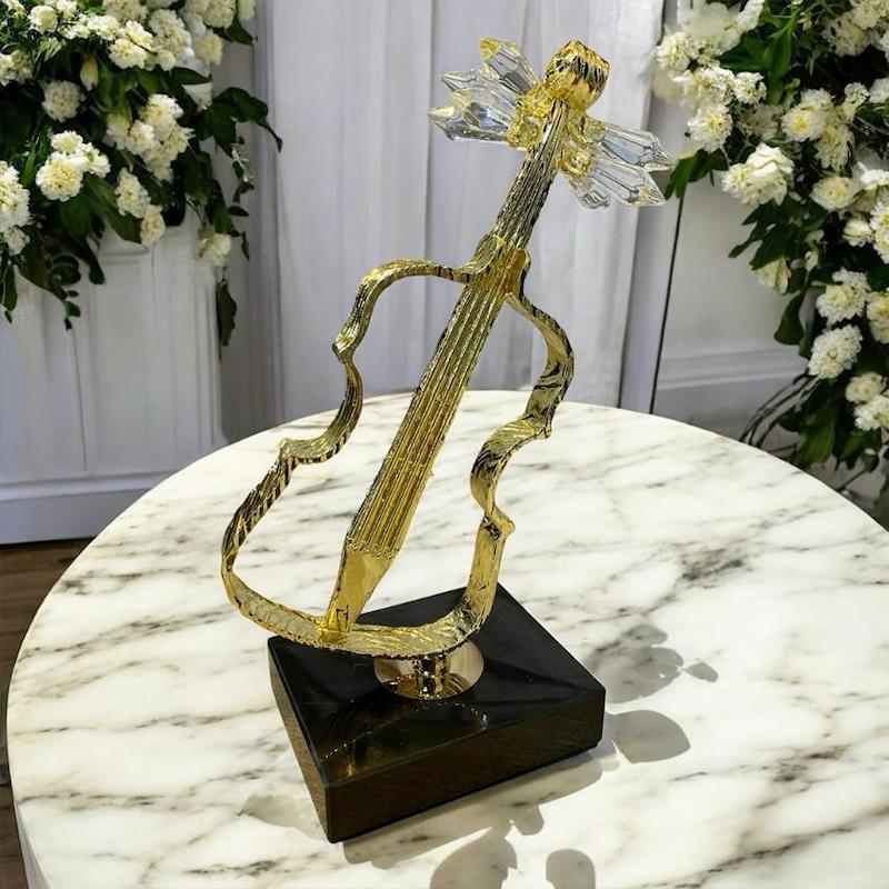 اکسسوری گیتار 