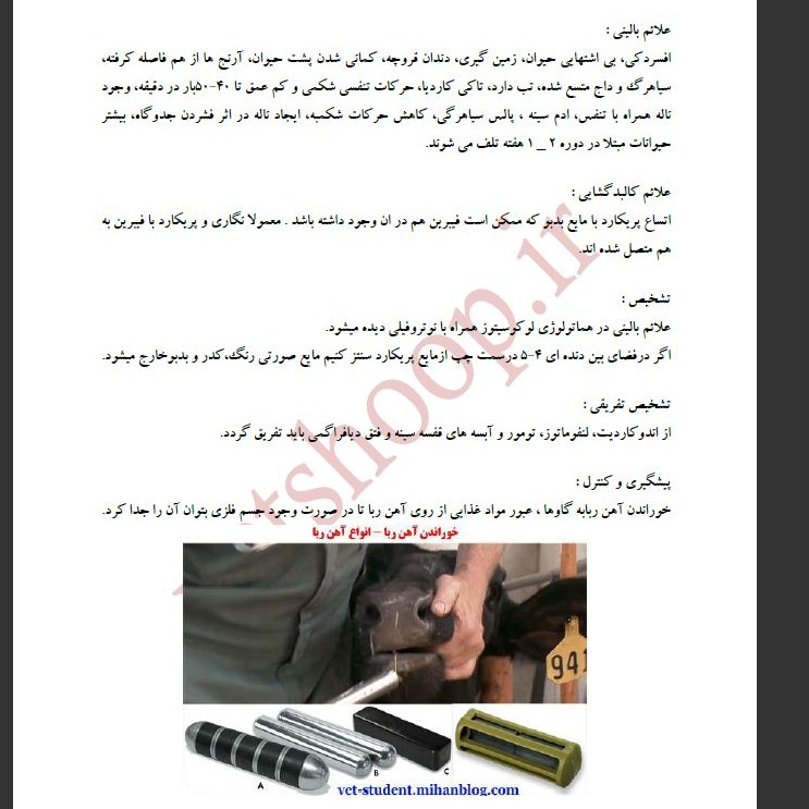 سایر بیماریهای گاو2