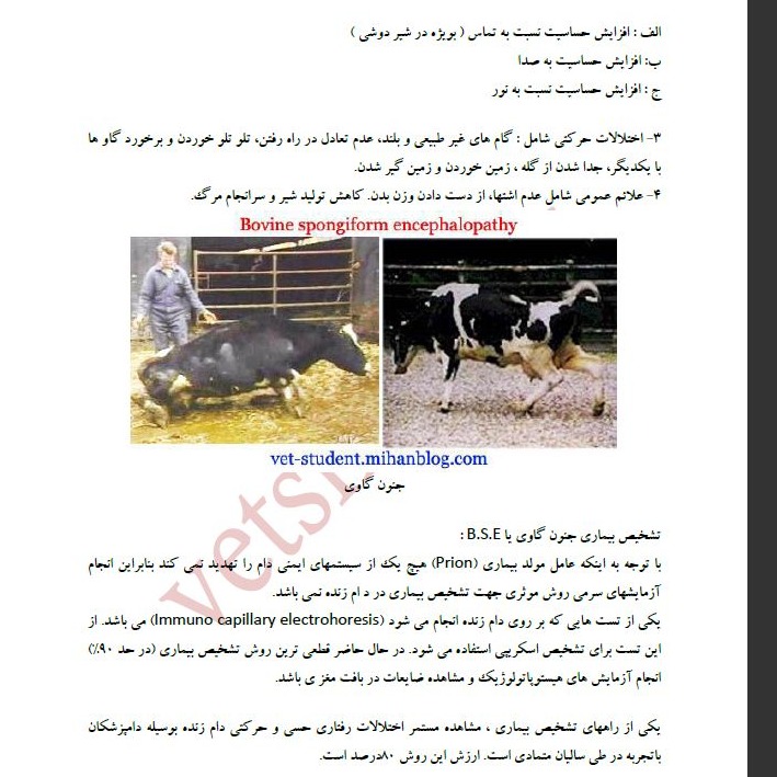 سایر بیماریهای گاو1