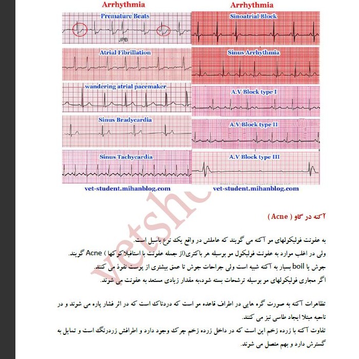 سایر بیماریهای گاو3