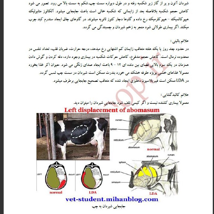 سایر بیماریهای گاو
