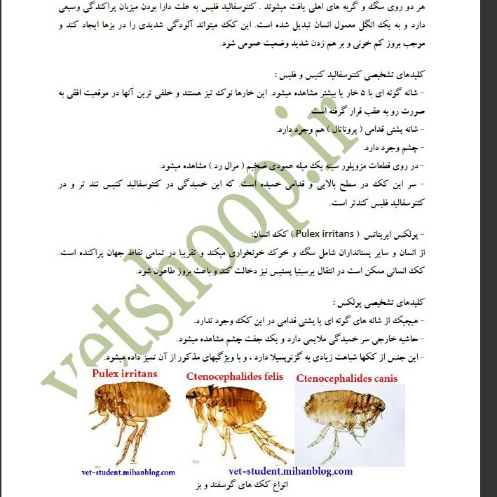 بیماریهای انگلی در گوسفند و بز