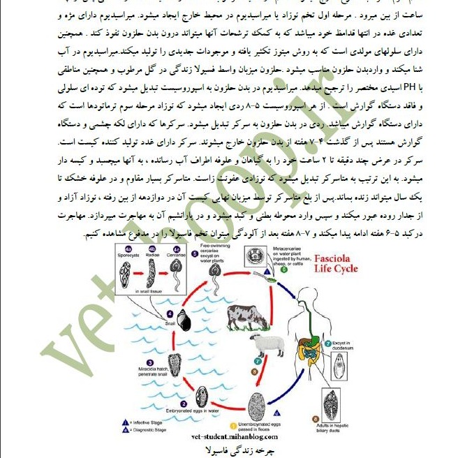 بیماریهای انگلی در گوسفند و بز