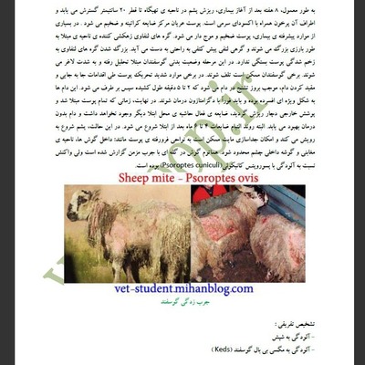 بیماریهای انگلی در گوسفند و بز