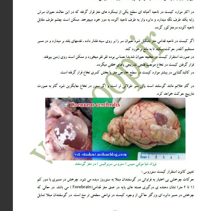 بیماریهای انگلی در گوسفند و بز