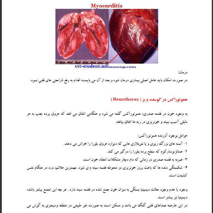 بیماریهای گوسفند و بز 