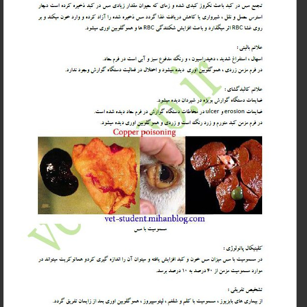 کتاب مسمومیت های گوسفند و بز