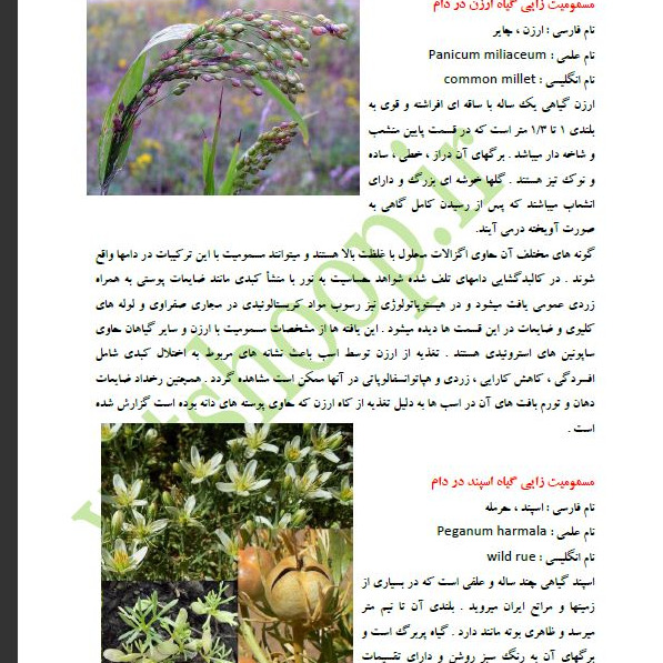 کتاب مسمومیت های گوسفند و بز