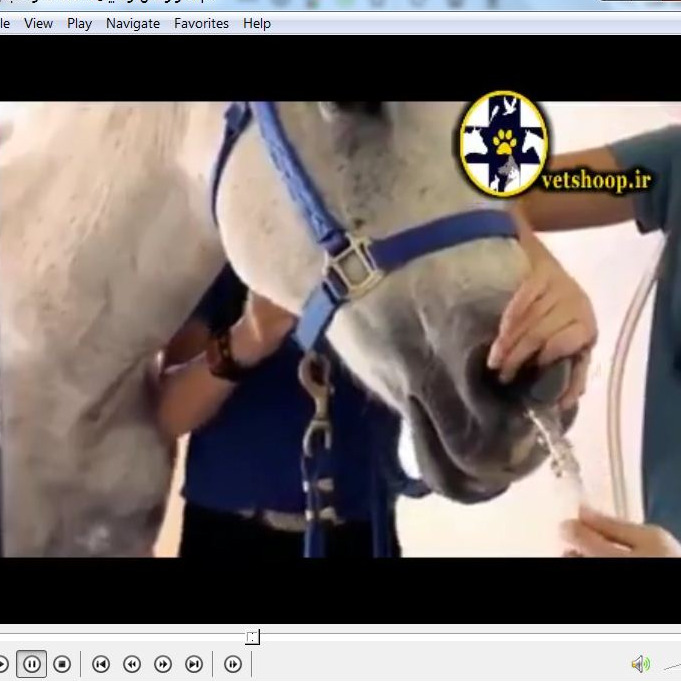 فیلم آموزشی قرار دادن لوله بینی - معده ای در اسب