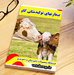 فایل آموزشی جامع بیماری های تولید مثلی در گاو ( Reproductive Cattle Diseases )