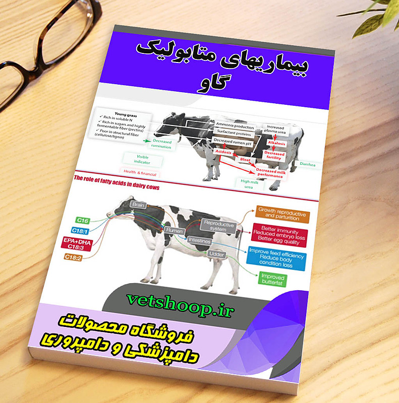 فایل آموزشی جامع بیماریهای متابولیک گاو( Bovine metabolic disease )