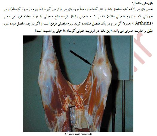 فایل آموزشی بهداشت مواد خام دامی و بازرسی کشتارگاهی